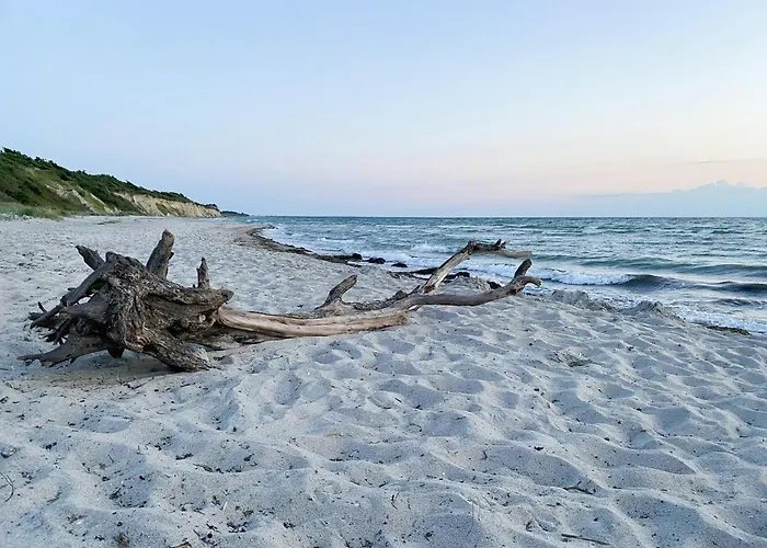 Light Flooded House On The Baltic Sea Σπίτι διακοπών Ahrenshoop